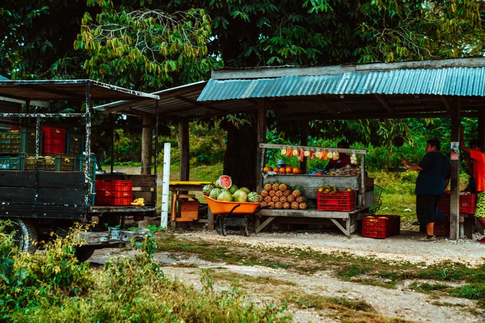 Fresh fruits at a fruit stand on the side of Hummingbird Highway, Belize. | Meritt Thomas, Unsplash