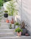 <p>Don't neglect your outdoor space. Whether you have a garden, patio or <a href="https://www.housebeautiful.com/uk/garden/designs/how-to/a781/balcony-garden-guide/" rel="nofollow noopener" target="_blank" data-ylk="slk:balcony;elm:context_link;itc:0;sec:content-canvas" class="link ">balcony</a>, choose <a href="https://www.housebeautiful.com/uk/garden/plants/g32286182/outdoor-plant-pots/" rel="nofollow noopener" target="_blank" data-ylk="slk:outdoor plant pots;elm:context_link;itc:0;sec:content-canvas" class="link ">outdoor plant pots</a> which combine clean lines, texture and structural shapes.</p><p>• Shop the look at <a href="https://www.dobbies.com/" rel="nofollow noopener" target="_blank" data-ylk="slk:Dobbies;elm:context_link;itc:0;sec:content-canvas" class="link ">Dobbies</a></p>