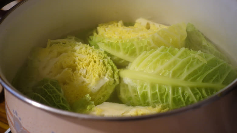 cabbage boiling in water pot