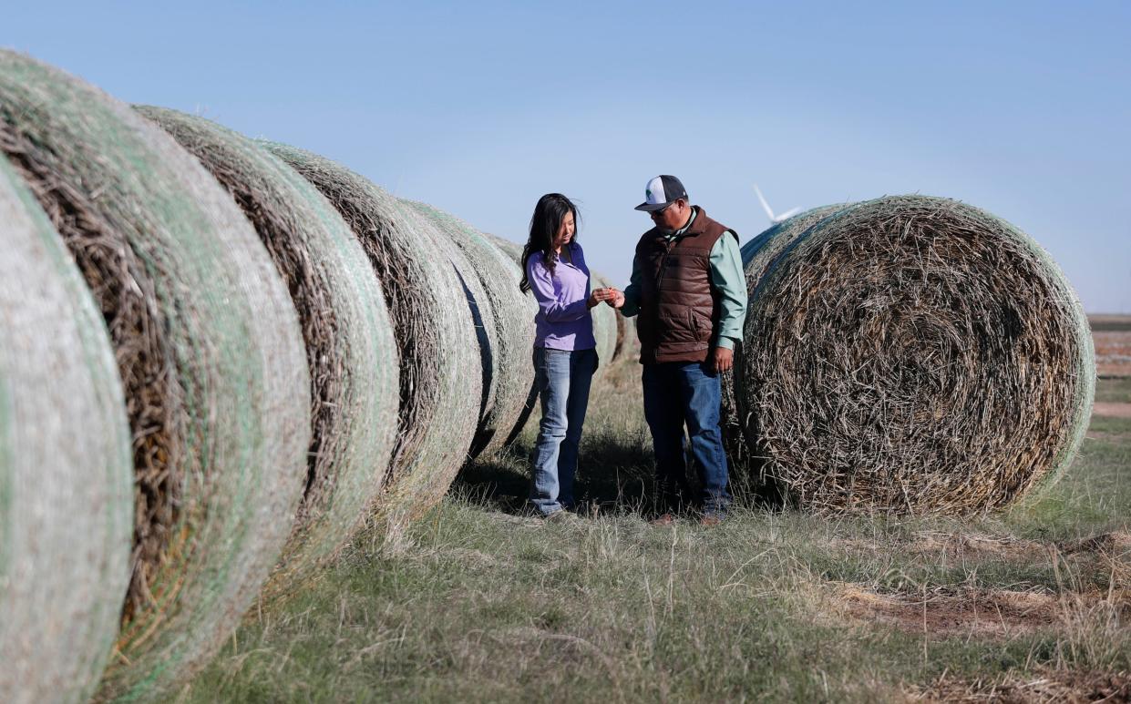 From left, Yuleida Serrato and her father, Amaldo Serrato look over some of the hay from the hay bales that will eventually be sold. The Serrato family own and run their multigenerational family farm in and around Floydada. Amado Serrato, his wife and father came to the United States, where they and their American born kids have created a successful agricultural business.