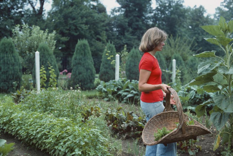 Happy Birthday, Martha Stewart: 20 Vintage Photos of the DIY Icon