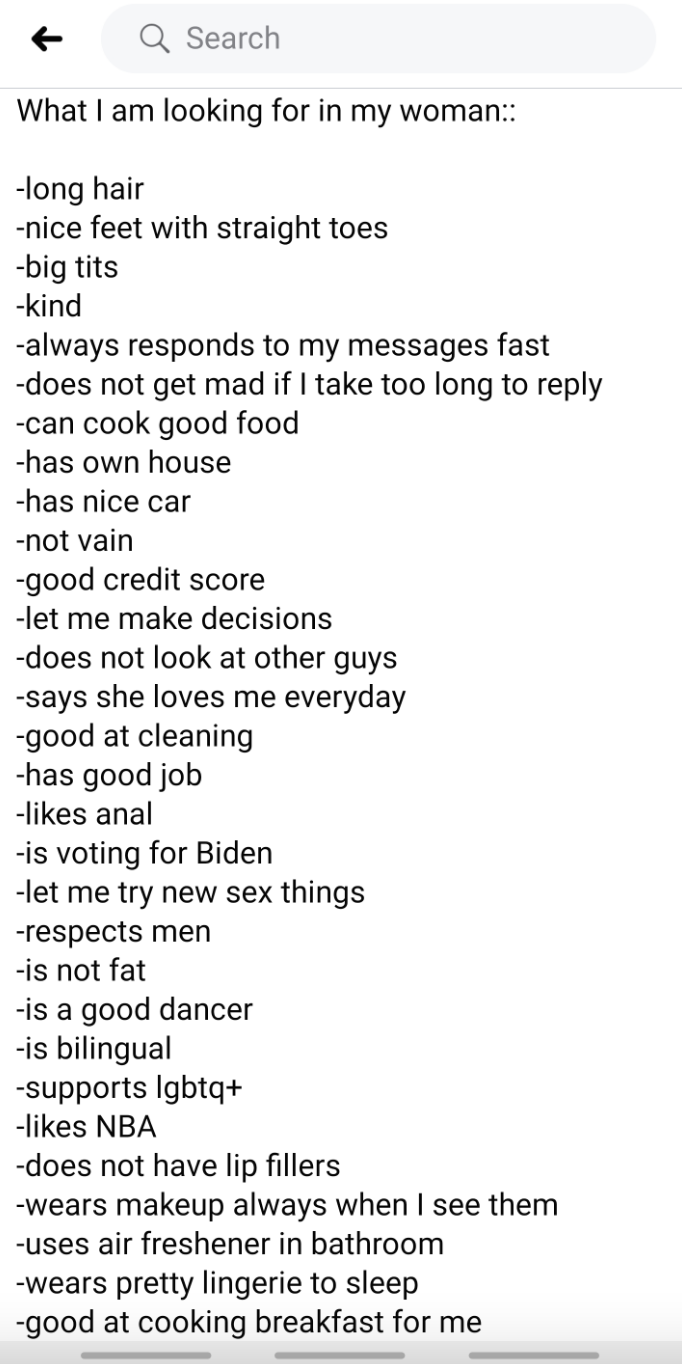 Long hair, big tits, likes anal, is not fat, is voting for Biden, likes NBA, supports lgbtq+, uses air freshener in bathroom, good credit score, says she loves me every day, nice feet with straight toes, can cook, and more requirements