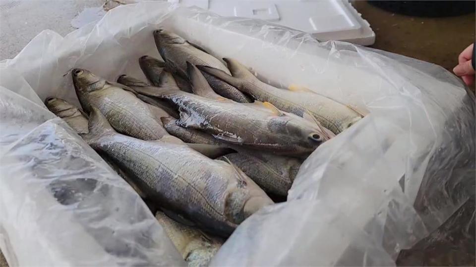 午仔魚驗出含「孔雀綠」　　業者挨罰6萬元列管3年