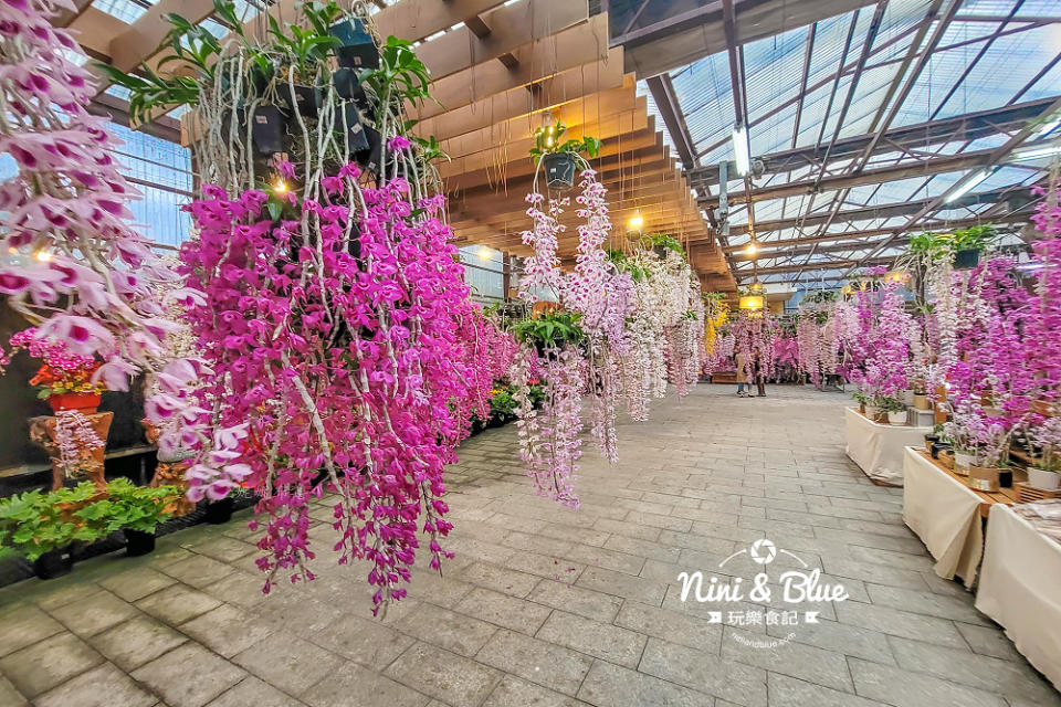 台中后里｜萌芳花卉農場