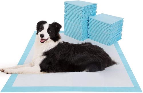 BESTLE Extra Large Pet Training and Puppy Pee Pads