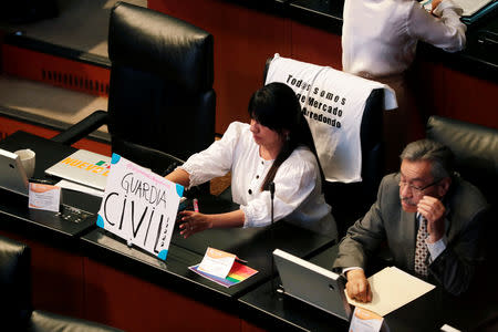 Senator Indira Kempis Martinez of the Citizen's Movement Party (Movimiento Ciudadano) places a placard reading 'Civil Guard #SecurityWithoutWar' during a session to vote on creation of a militarized police force, National Guard, at the Senate in Mexico City, Mexico February 21, 2019. REUTERS/Violeta Schmidt