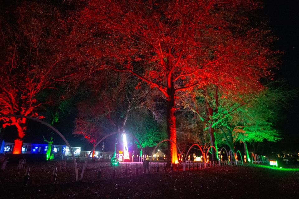 Almost every bit of yard, and most of the trees, at the Peace Family Light Show, 655 S.W. Westchester Road, are illuminated while synchronized music creates a roadside attraction for passersby.