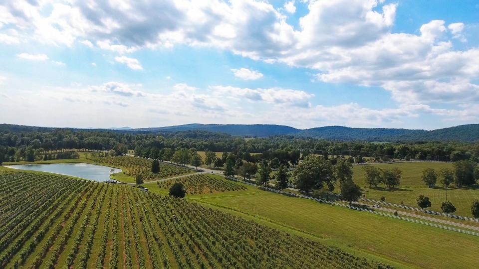 The picturesque Keswick Vineyards are part of the Monticello Wine Trail.