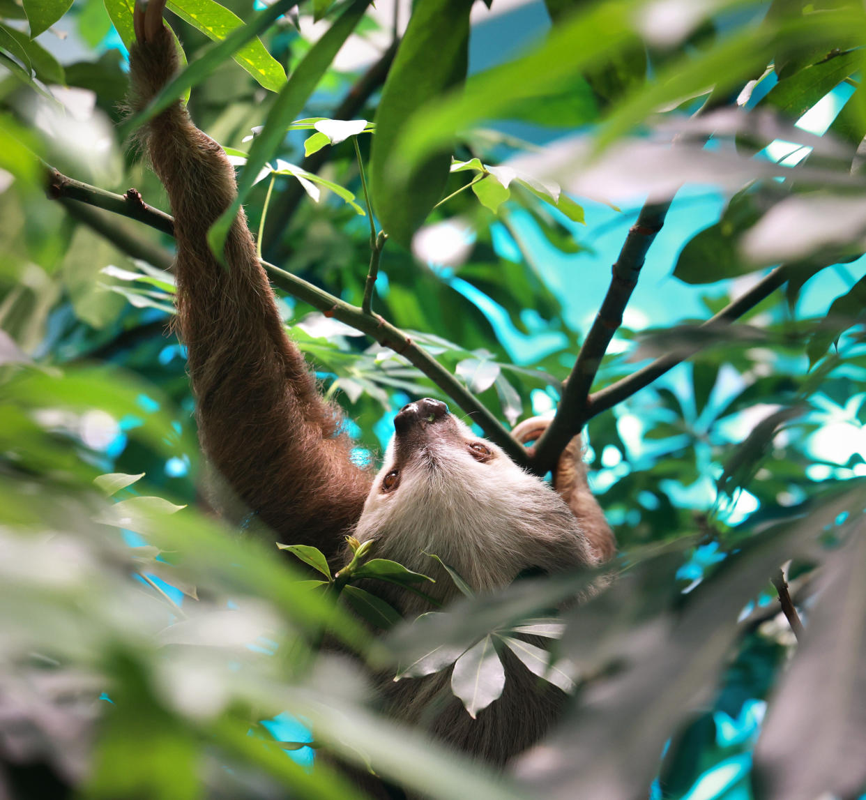 Back to nature: It’s ‘Life’ time at Orlando Science Center