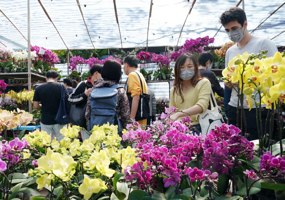 維園年宵首日競投近180攤位全部租出 最高成交接近底價13倍