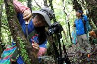 The Wider Image: Taiwan plant hunters race to collect rare species before they are gone