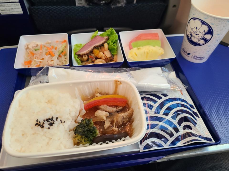 Meal tray of rice and other dishes on flight 