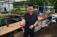 Samuell Ang es el director ejecutivo de Edible Garden City, una de las empresas que se dedican a cultivar granjas urbanas en Singapur. Administra unas 80 en azoteas de toda la ciudad-estado. (Foto: Roslan Rahman / AFP / Getty Images).