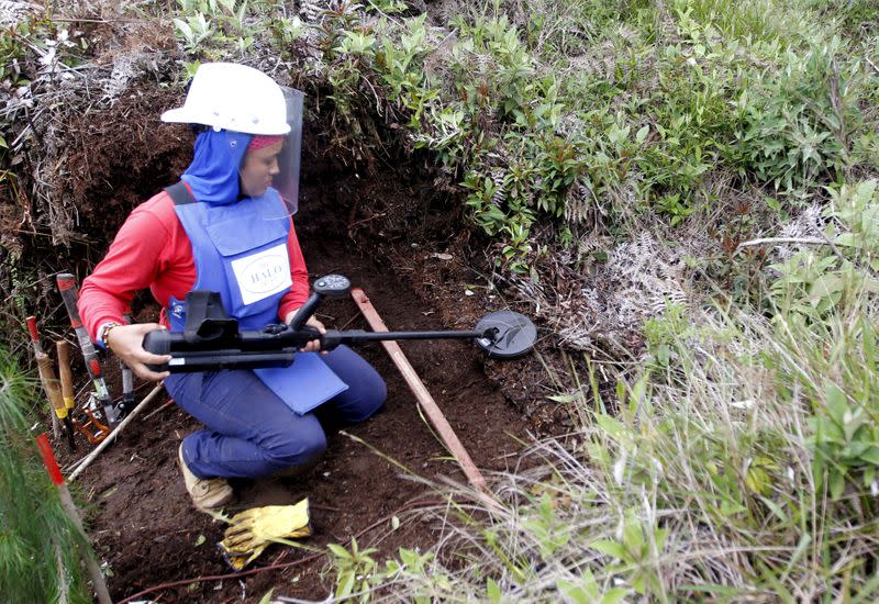 FILE PHOTO: Aleida Toro works with her mine detector in a zone where landmines were planted by rebel groups near Sonson in Antioquia province