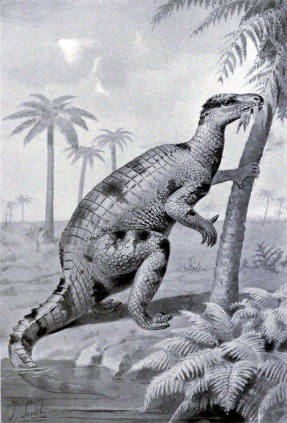 The dinosaur fossil likely belonged to a species closely related to the Iguanodon, shown here munching on some leaves.