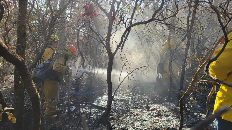 Firefighters put out hot spots in the Edneyville wildfire, called Poplar Drive Fire, on Nov. 8 near the top of Bald Top Mountain in Edneyville.