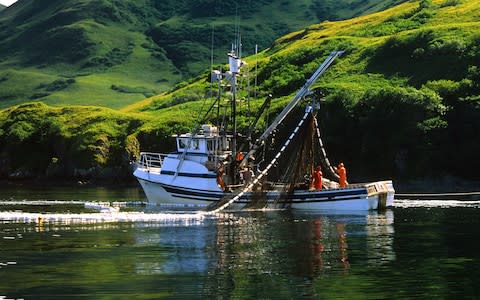 A fishing boat catching salmon in Alaska - Credit: Getty