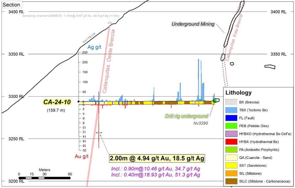 Location and Section DDH CA-24-10 (Assays)