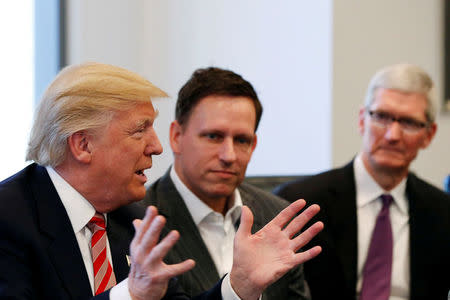 FILE PHOTO - U.S. President-elect Donald Trump speaks as PayPal co-founder and Facebook board member Peter Thiel (C) and Apple Inc CEO Tim Cook look on during a meeting with technology leaders at Trump Tower in New York U.S., December 14, 2016. REUTERS/Shannon Stapleton/File Photo