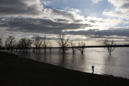 Steve Sands takes pictures of the rising waters in the Mississippi River as flood waters approach their crest in Greenbelt Park in Memphis, Tennessee January 4, 2016. REUTERS/Karen Pulfer Focht