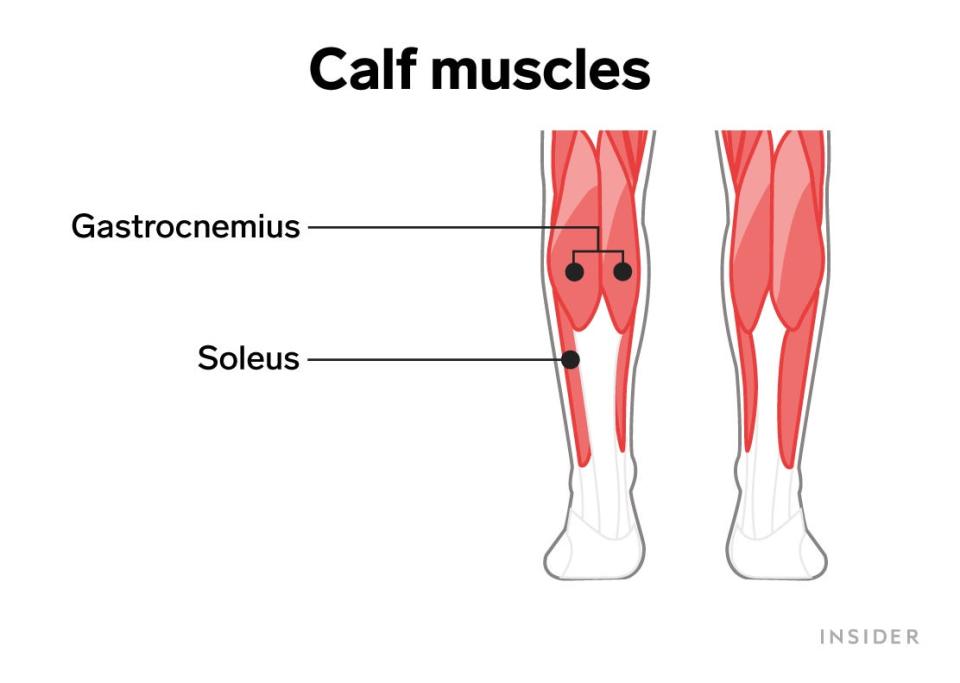 calve muscles