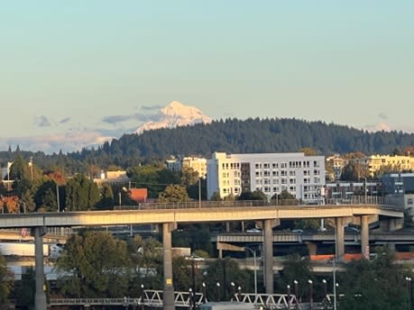 <strong>View from The Sacred Mushroom™ - Mount Hood can be seen above the Portland, Oregon skyline from our 7th-floor facility.</strong>
