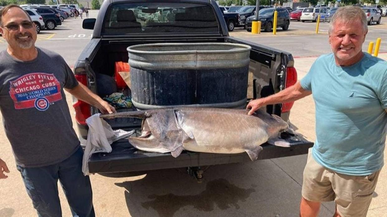 Two men smiling next to fish on truck