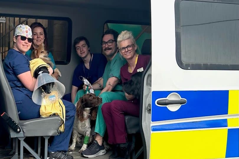The animals were given a ride in police vans to get them to a nearby vet
