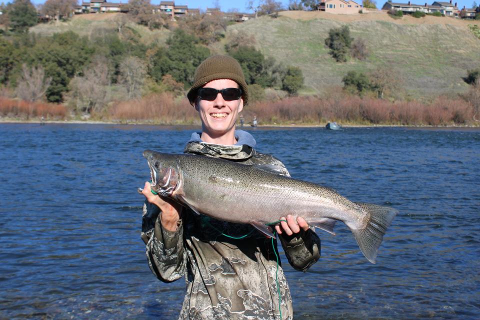 James Hyman of Sacramento landed this beautiful steelhead while tossing out a Little Cleo lure on January 1, 2024, on the American River below Nimbus Fish Hatchery.