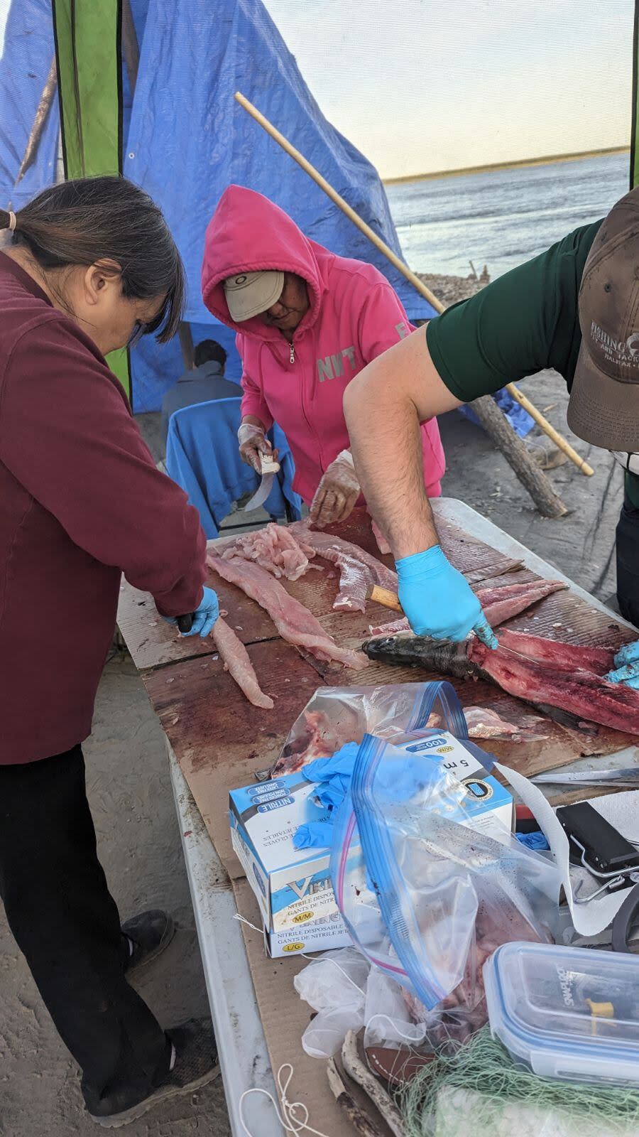 Residents at the fish camp downriver from Fort Good Hope prepare country food to feed the more than 100 people who've taken shelter there amid a wildfire evacuation order in their home community.