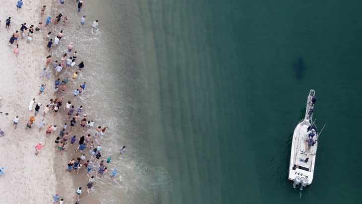 The research team on the Aleutian Dream, the Atlantic White Shark Conservancy research vessel, monitors a tagged 12-foot white shark as beach goers look on from Nauset Beach in Orleans, Cape Cod. (Photo credit: Wayne Davis)