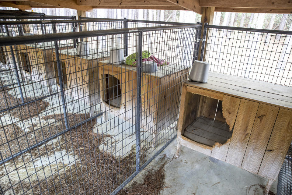 The dog kennels at the Murdaugh property in Islandton, March 1, 2023