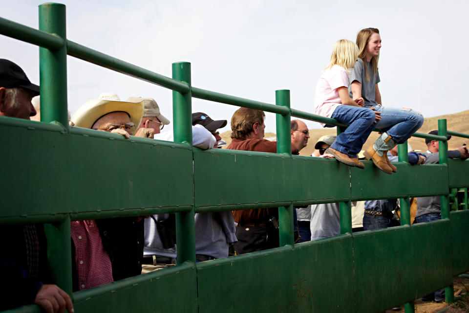 Hannah Kremer, 14, far right, talks with her sister Grace Kremer, 9, both of Custer, as crowds catch a glimpse of the approximately 1,000 buffalo that were corralled during the 47th annual Buffalo Roundup in western South Dakota's Custer State Park, Monday, Sept. 24, 2012. Organizers said the event drew more than 14,000 spectators from across the world. (AP Photo/Amber Hunt)