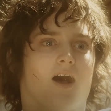 Frodo looks shocked