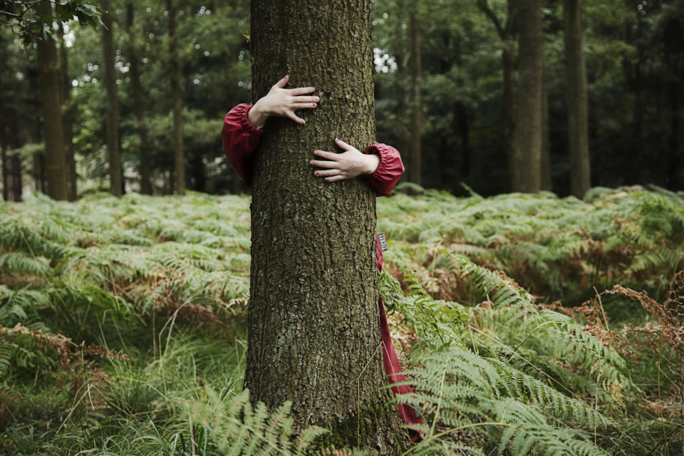 Young girl holding arms around tree in Danish forest at a forest kindergarten.