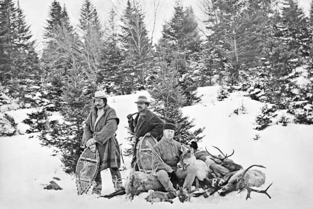 Overhunting of caribou during the late 1800s and early 1900s eventually pushed the species to the point where it could not recover in New Brunswick. The small herd on the Gaspé is the last of its kind south of the St. Lawrence