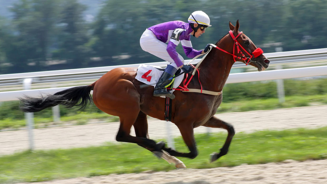 PYATIGORSK, RUSSIA -AUGUST 7: Jockey Rinat Hamidullin and bay akhal-teke stallion Demir-Tay race for the prize of Gundogara on August 7,2011 in Pyatigorsk, Caucasus, Russia.