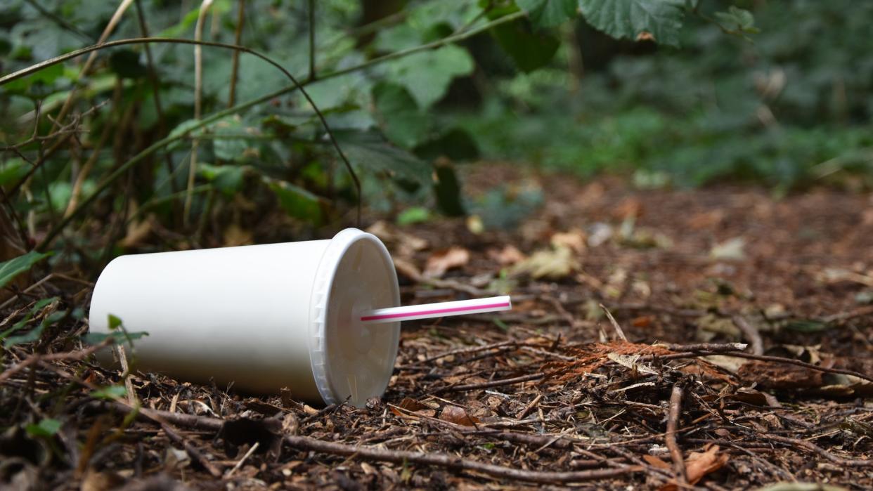  Paper cup and straw on ground in woodland. 