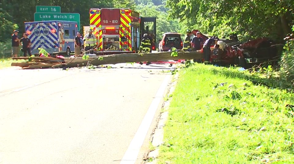 A tree crashed into a pick-up truck on Sunday, June 19, 2022, on the northbound Palisades Interstate Parkway in Stony Point.