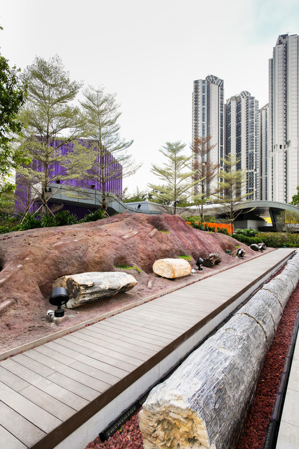 香港好去處｜荃灣西新開 香港首個木化石公園 70,000呎園區 免費欣賞過百木化石珍品 