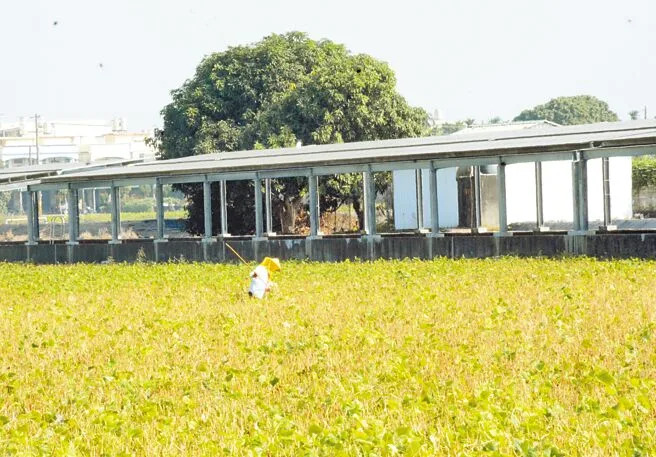 &#x00653f;&#x005e9c;&#x007a4d;&#x006975;&#x00767c;&#x005c55;&#x007da0;&#x0080fd;&#x00653f;&#x007b56;&#x00ff0c;&#x0096a8;&#x008655;&#x0053ef;&#x00898b;&#x007684;&#x00592a;&#x00967d;&#x0080fd;&#x00677f;&#x005df2;&#x00662f;&#x008fb2;&#x006751;&#x0065e5;&#x005e38;&#x0098a8;&#x00666f;&#x003002;&#x00ff08;&#x006797;&#x00548c;&#x00751f;&#x00651d;&#x00ff09;