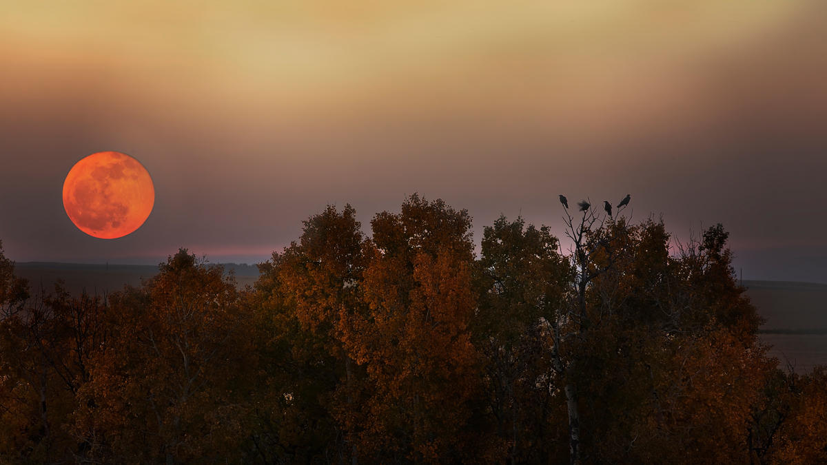 Exactly When To See The 'Super Harvest Moon' Rise From Where You Live