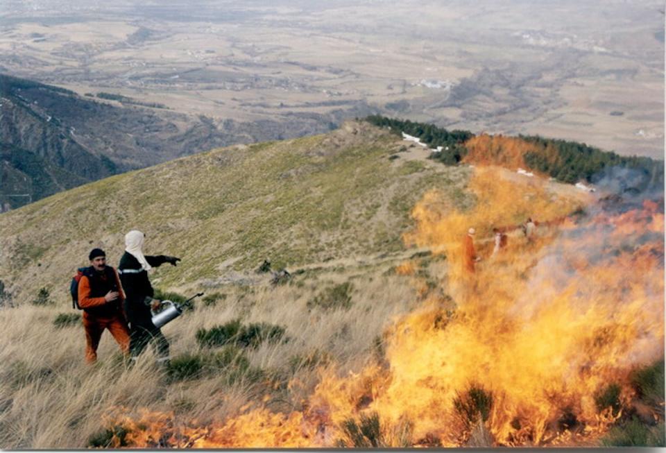 Los fuegos experimentales nos ayudan a aprender sobre los ecosistemas y su gestión. Este es un fuego experimental en un matorral de alta montaña en los Pirineos franceses. Pere Pons