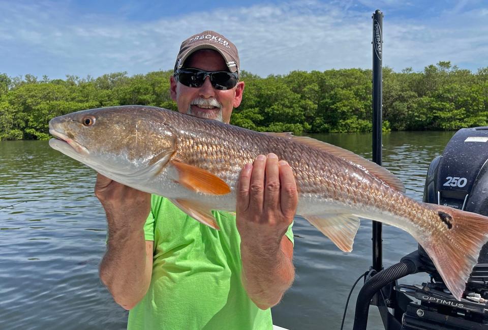 Lester "Mitch" Mitchell of Lakeland caught this 32-inch redfish on a live pinfish while fishing in Terra Ceia Bay with Capt. Capt. John Gunter this week.