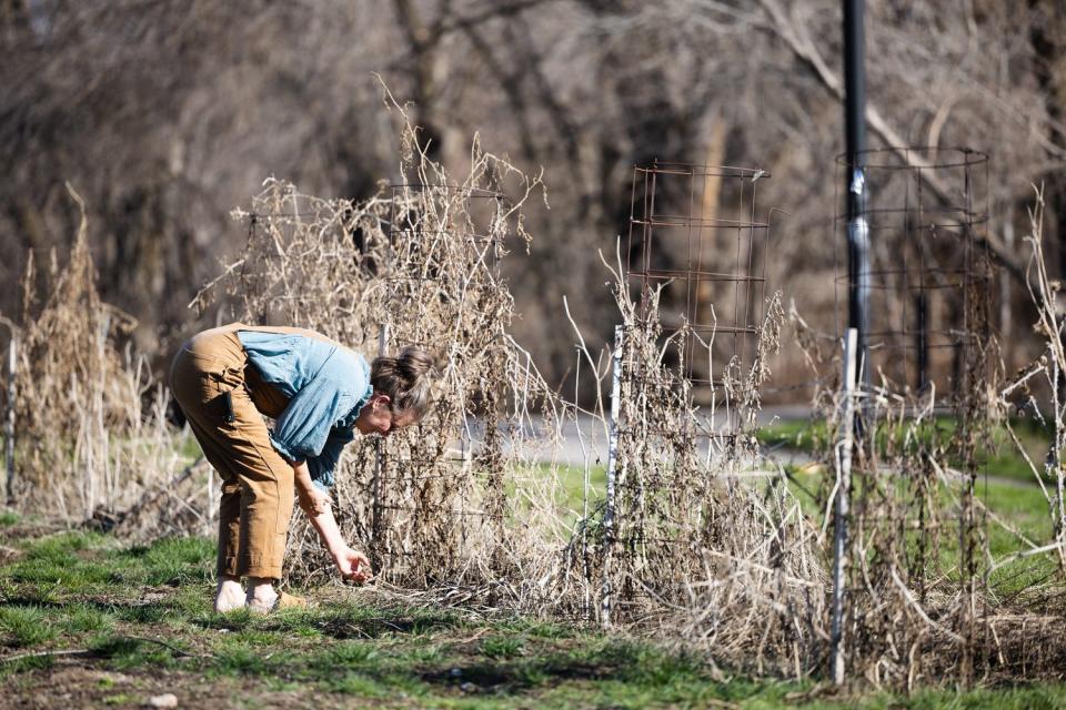Kimberly Vanderburg-Murphy tends to the garden at the Og-Woi People's Garden in Salt Lake City on April 10.