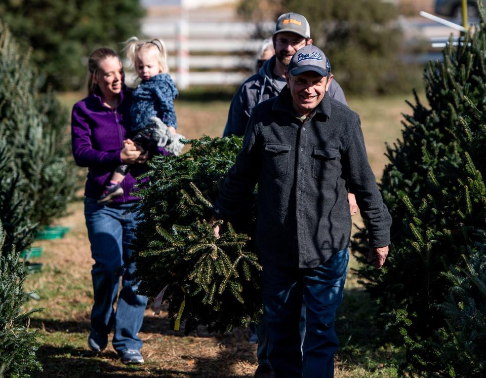 Donald Kidd, of Pennsylvania , leads carrying his familyÕs Christmas tree to purchase, at Mystic Farm, in Greenville, ,Monday, November 30, 2021. 