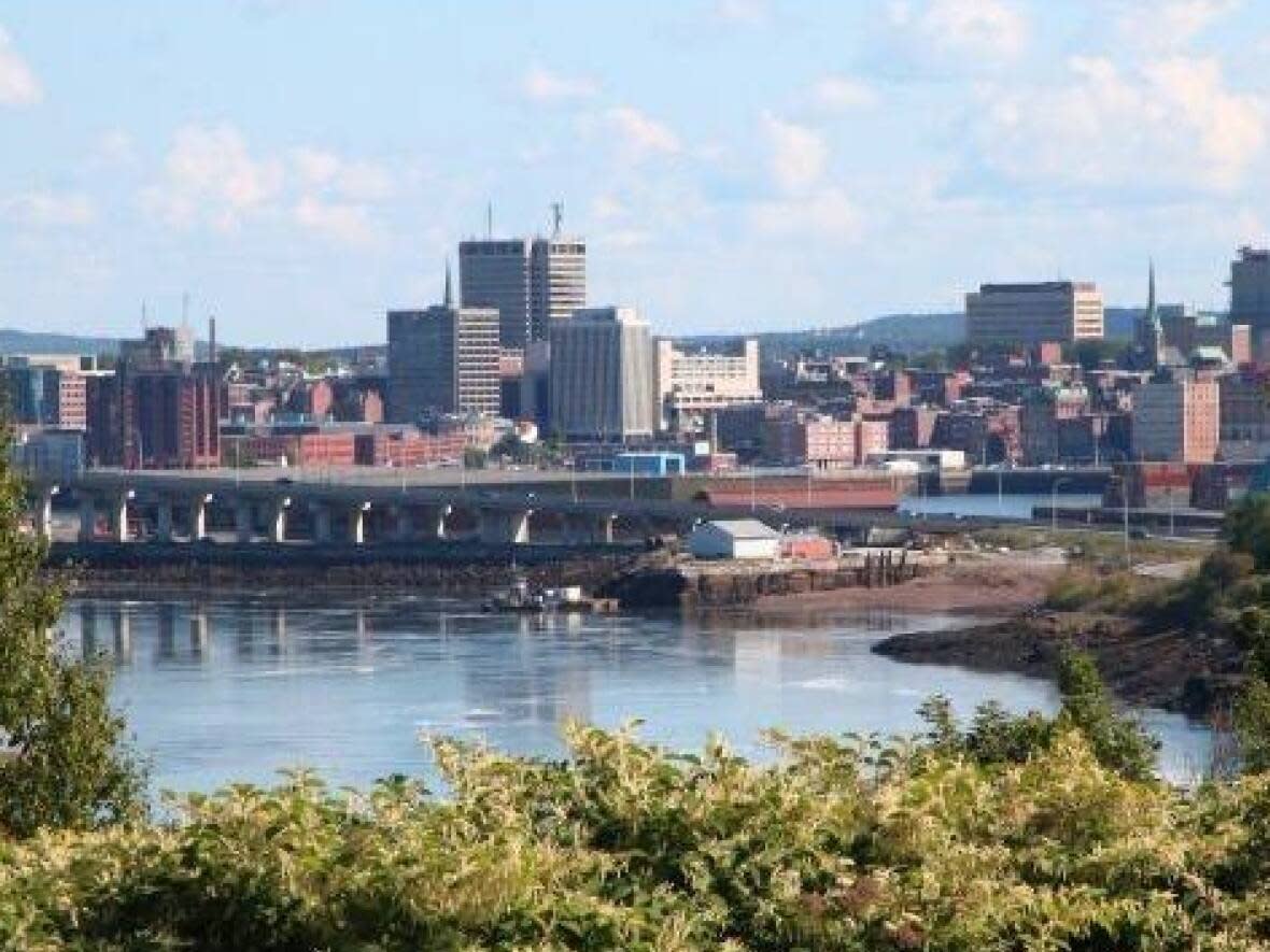 The federal electoral boundaries commission for New Brunswick is holding firm in its plan to split the city of Saint John between two different federal ridings. (Julia Wright/CBC - image credit)