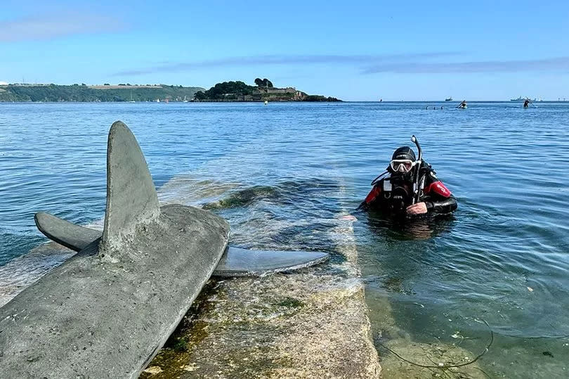 With its distinctive dorsal fin cutting through the water, the sizeable 'shark' swam along the coastline, before turning to head inland towards Firestone Arch at Royal William Yard