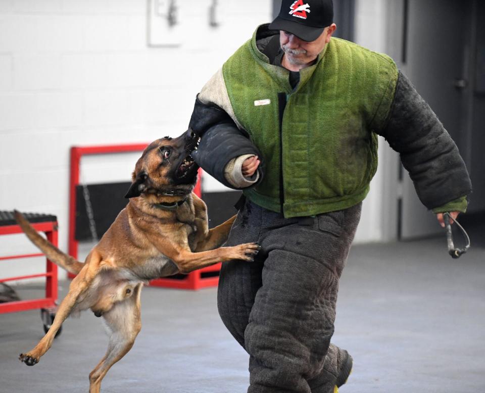 Mario Erazo and Dexter, a Belgian Malinois