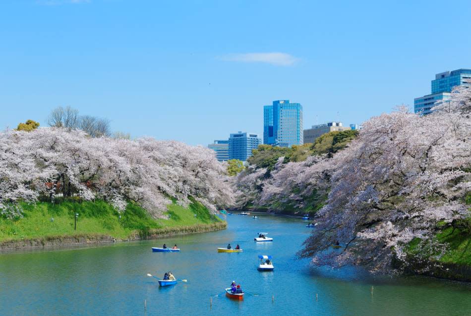 相片來源：www.gotokyo.org